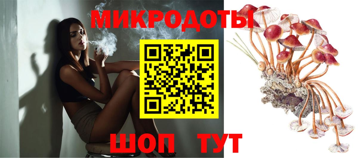 Псилоцибиновые грибы Cubensis Джанкой