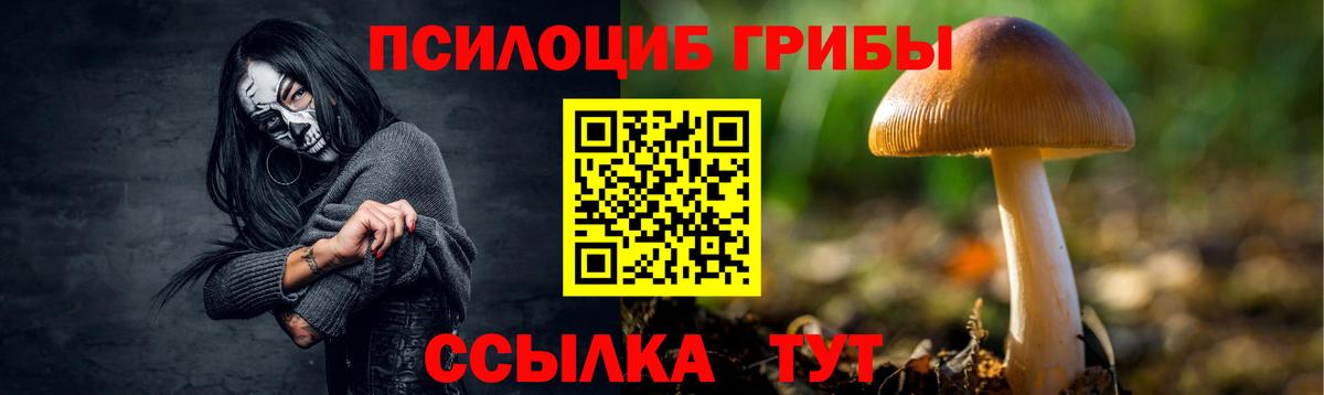 Галлюциногенные грибы мухоморы  Вход с VPN  Джанкой 